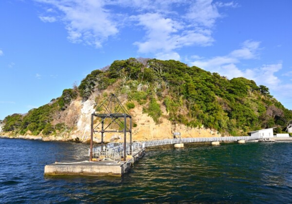 猿島
