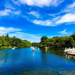 井の頭公園