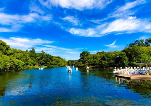 井の頭公園