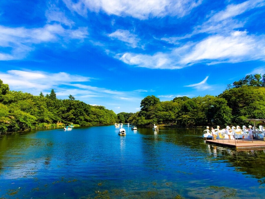 井の頭公園
